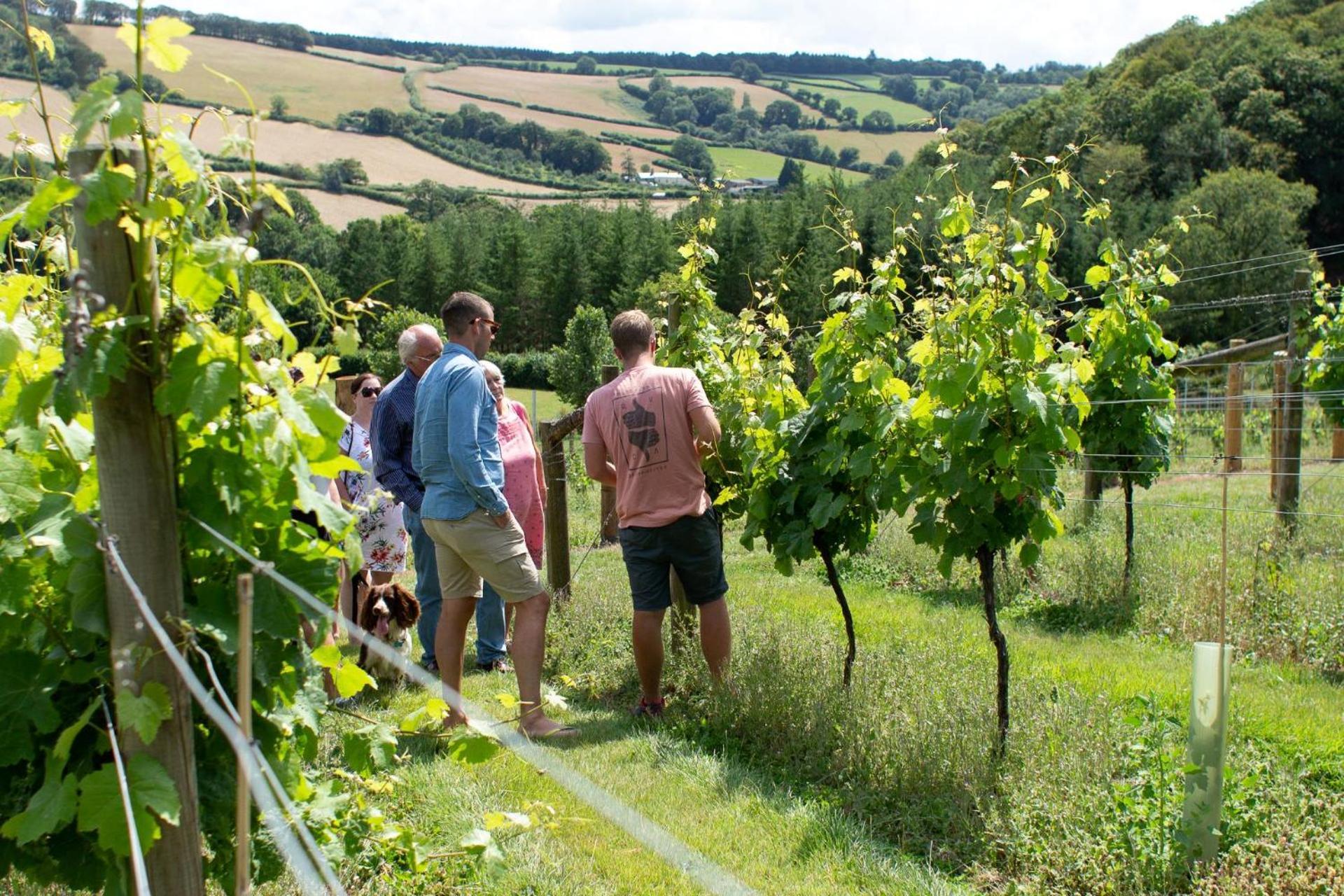 Couples Retreat In Beautiful West Devon Countryside Vila Broadwoodwidger Exterior foto