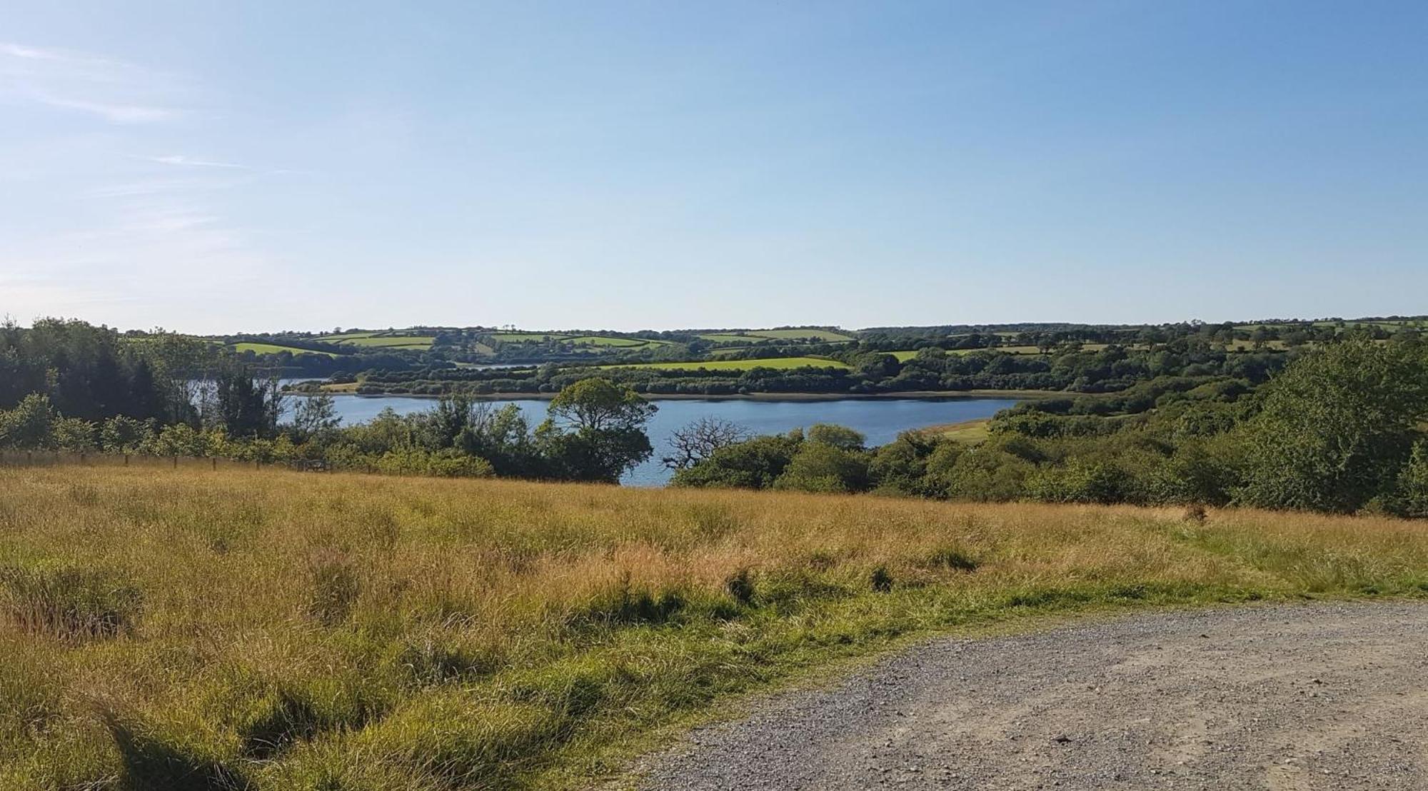 Couples Retreat In Beautiful West Devon Countryside Vila Broadwoodwidger Exterior foto